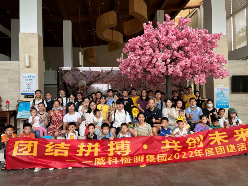 威科檢測·下川島團建之旅｜團結(jié)拼搏 共創(chuàng)未來